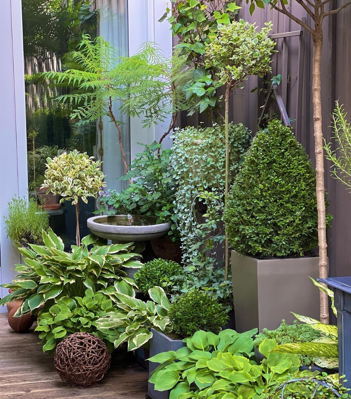Lush green potted plants and various shrubs arranged on a wooden deck surface.