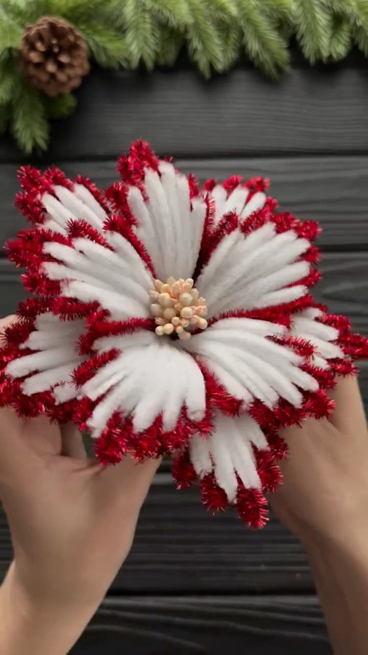 12 Christmas Family Craft Ideas: Projects for All Ages 3 Hands holding a handmade red and white pipe cleaner poinsettia flower on a dark wood surface.