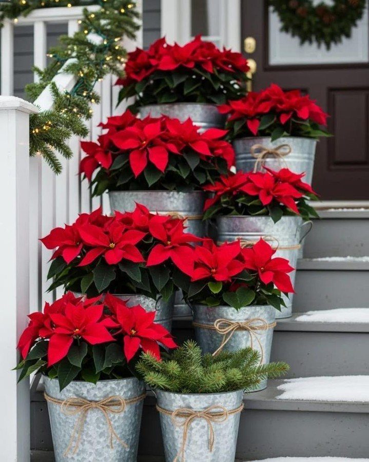 Red poinsettia plants in silver metal buckets arranged on snowy outdoor porch steps.