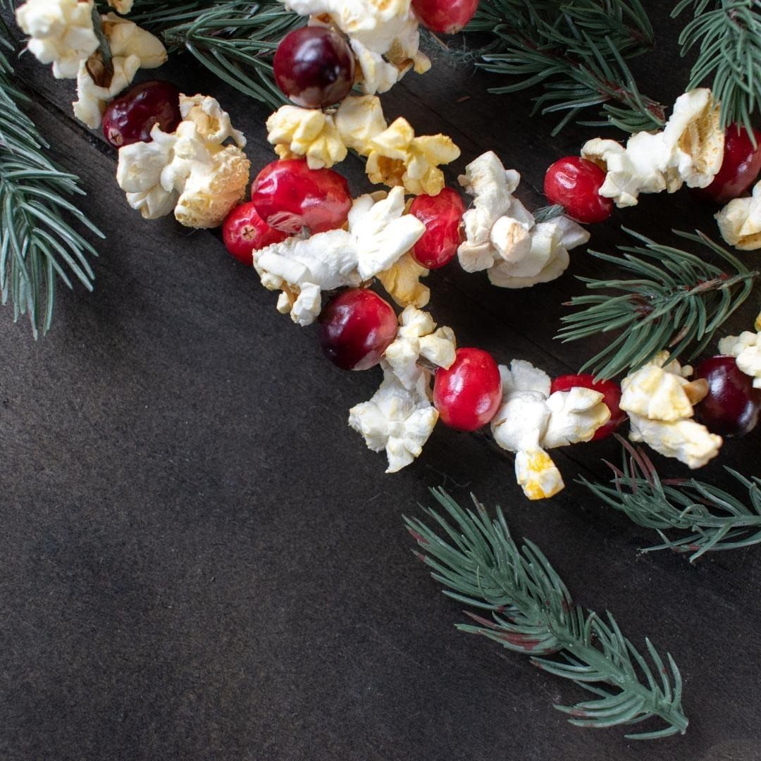 Popcorn and cranberry garland resting on a dark wood surface with green pine needles.