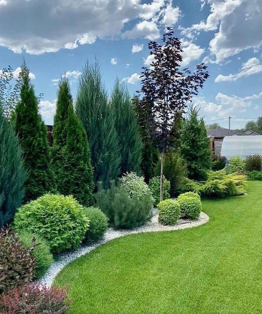 16 Front Lawn Landscaping Ideas for Curb Appeal 9 Tall conical evergreens and rounded shrubs planted along a curved white gravel garden bed.
