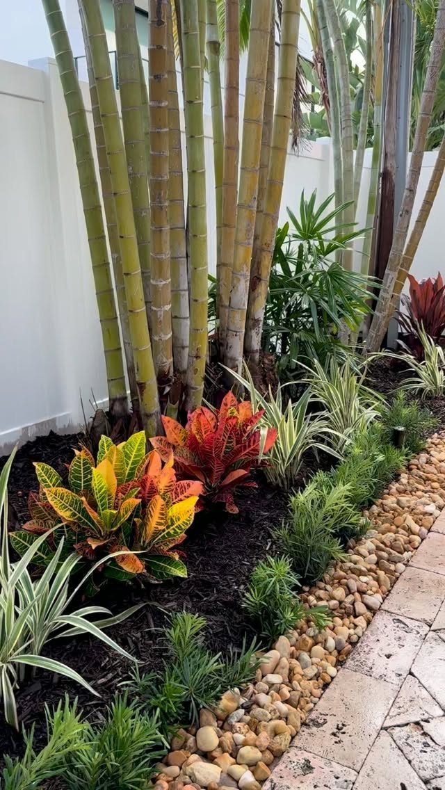 16 Front Lawn Landscaping Ideas for Curb Appeal 11 Colorful croton plants and tall palm stalks in a landscaped garden bed with mulch.