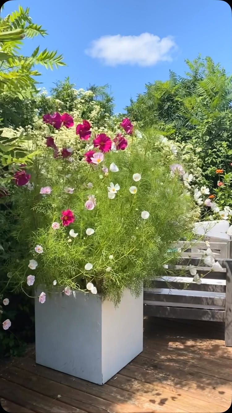 A white square planter filled with pink and white flowers sits on a wooden deck.